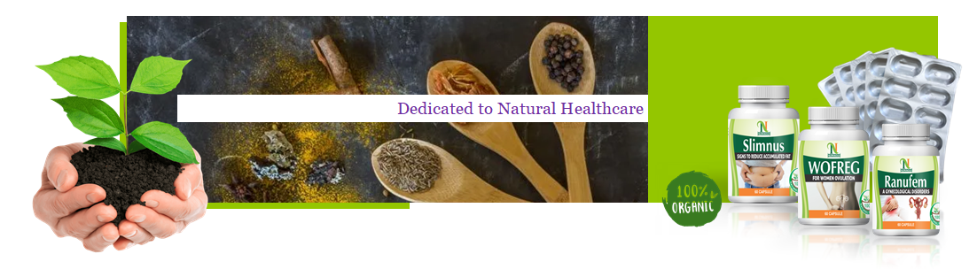 4 banner strip okok (1)